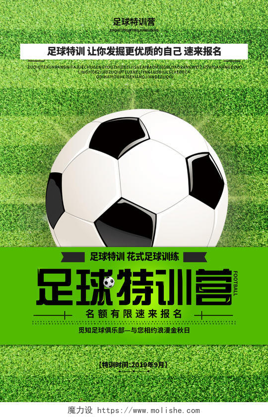 绿色简约足球特训营足球体育运动宣传海报
